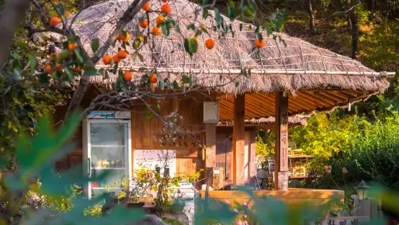 韓國古都慶州世界文化遺產一日遊 (釜山出發, 世界文化遺產)