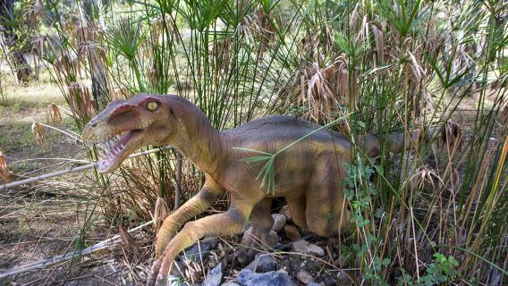 Dinopark Antalya: Entry Ticket