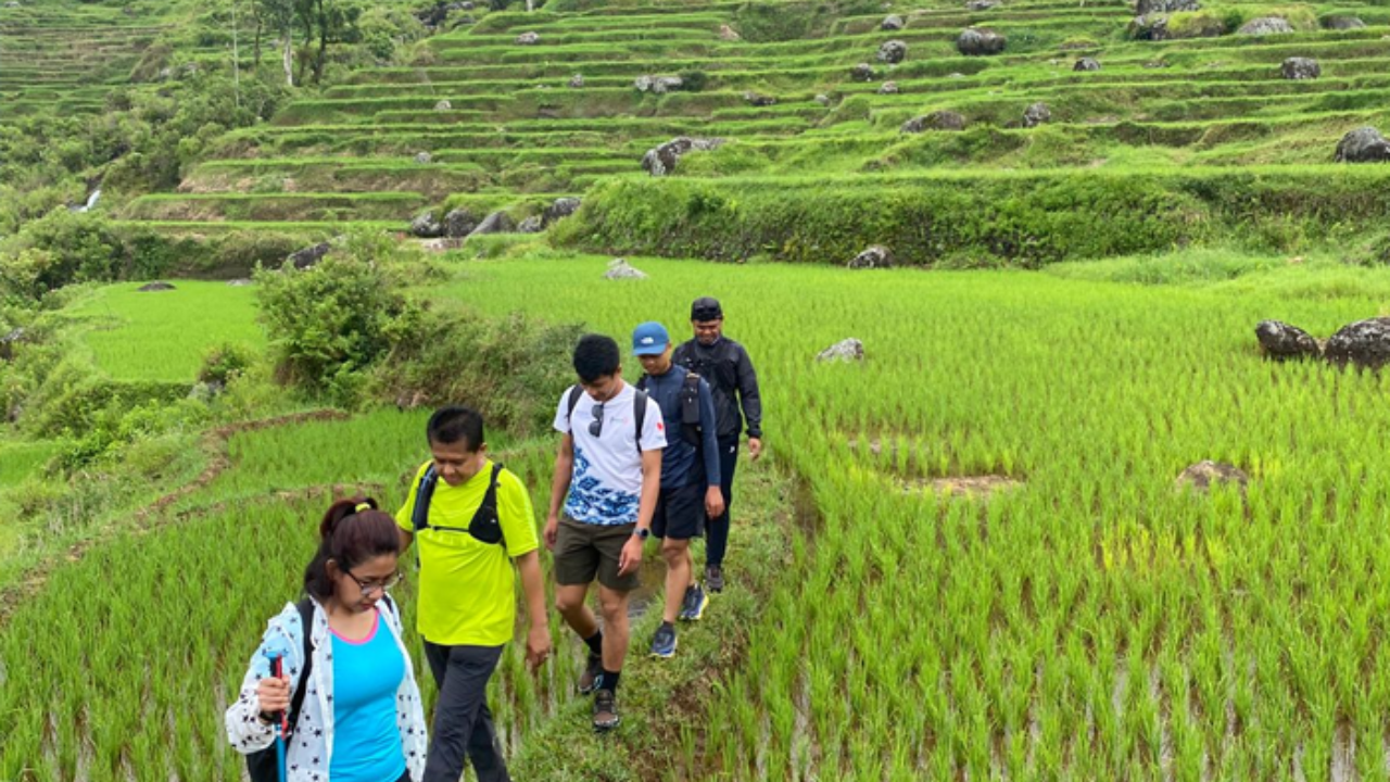 4 Days Toraja Trekking Adventure