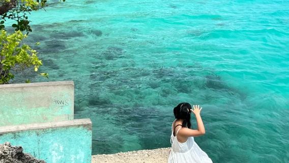 Tour dell'isola di Siquijor nelle Filippine: cascate, immersioni, snorkeling e alberi marini