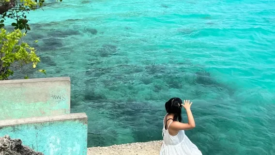 필리핀 시키호르 섬 투어 - 폭포 & 다이빙 플랫폼 & 스노클링 & 바다 나무