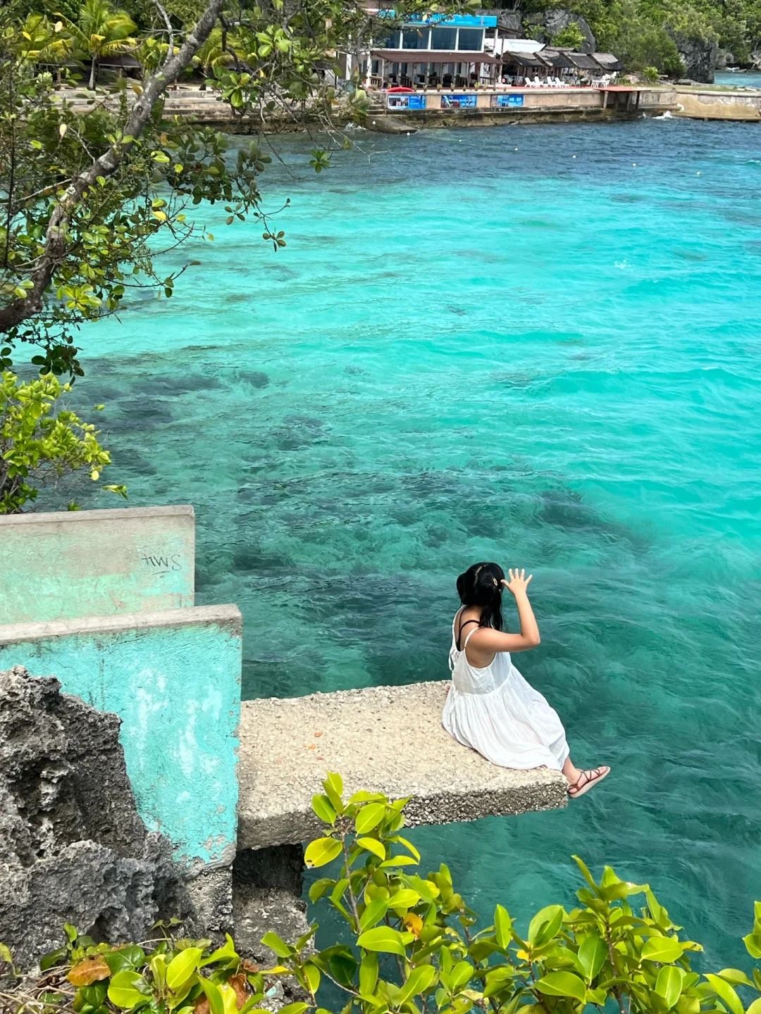 Tour alrededor de la isla de Siquijor en Filipinas - cascadas, plataformas de salto, snorkel y árbol en el mar