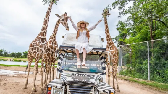 Kanchanaburi City Tours