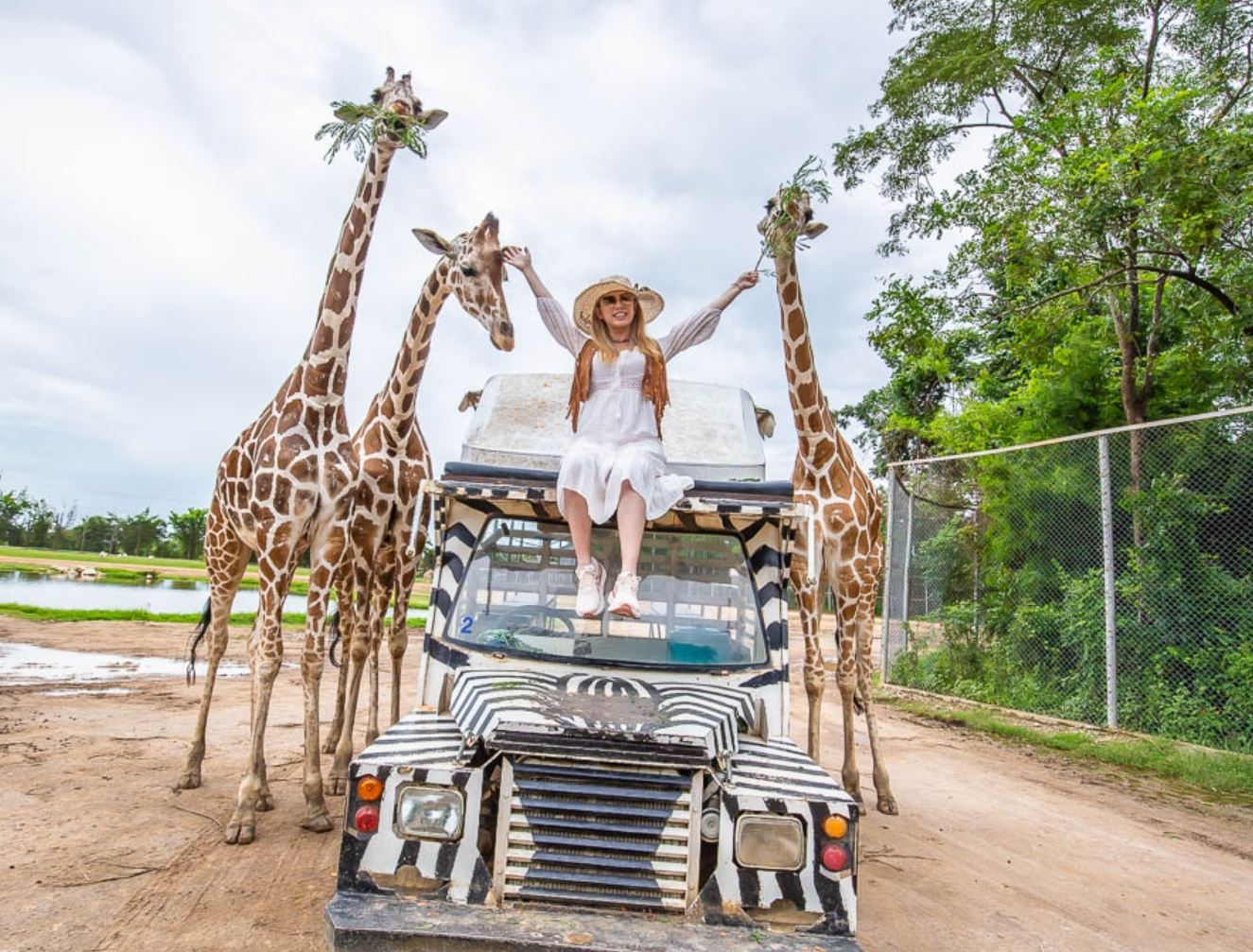 Trip Moments at Safari Park Kanchanaburi[Giraffe Photo Session - Safari Park Kanchanaburi [Upgrade Link - Cannot be purchased separately]]