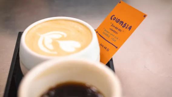 Pasea por el distrito de los plátanos con un exbarista y descubre cafeterías escondidas en las calles - Shanghái - Eatwith