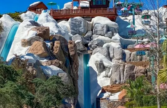 美國奧蘭多【看海牛+winter park】中文司機+接送