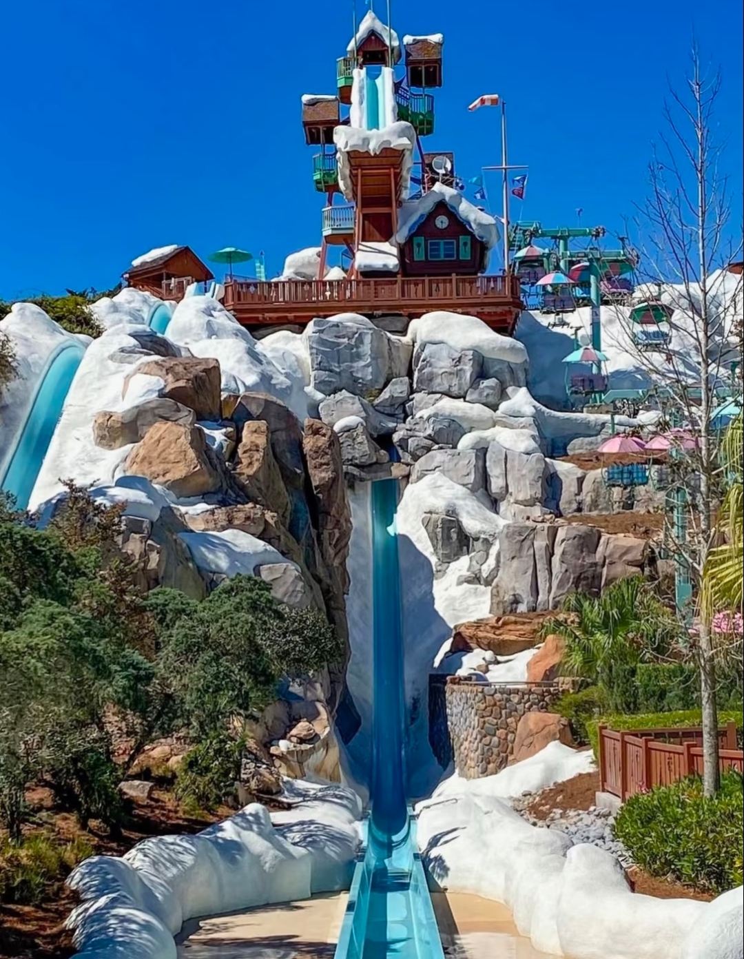 美國奧蘭多【看海牛+winter park】中文司機+接送