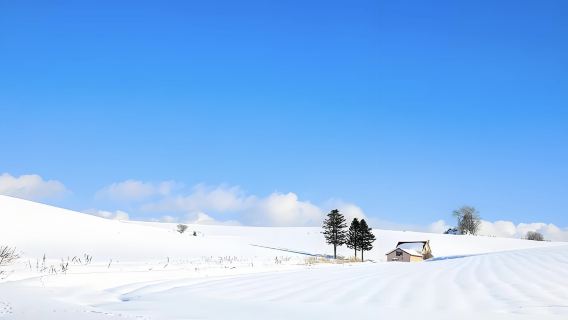 日本小樽神威岬-小樽港碼頭-小樽音樂盒堂【北海道中文專車】