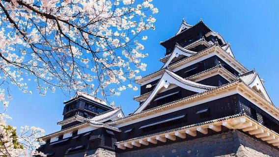 Kumamoto Castle & Aso Crater Exploration, Kusasenri Horseback Riding, Depart from Fukuoka/Kumamoto