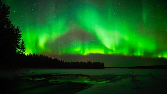 Rovaniemi: Northern Lights Wilderness Tour with Camera