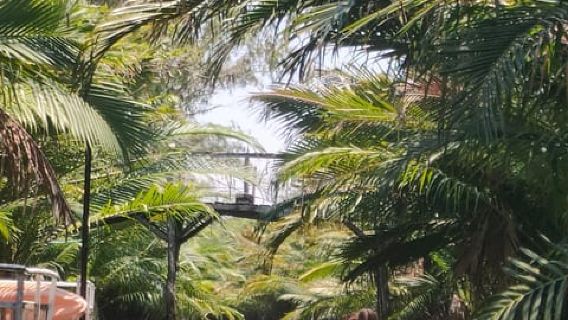 Kayaking tour around green cathedral