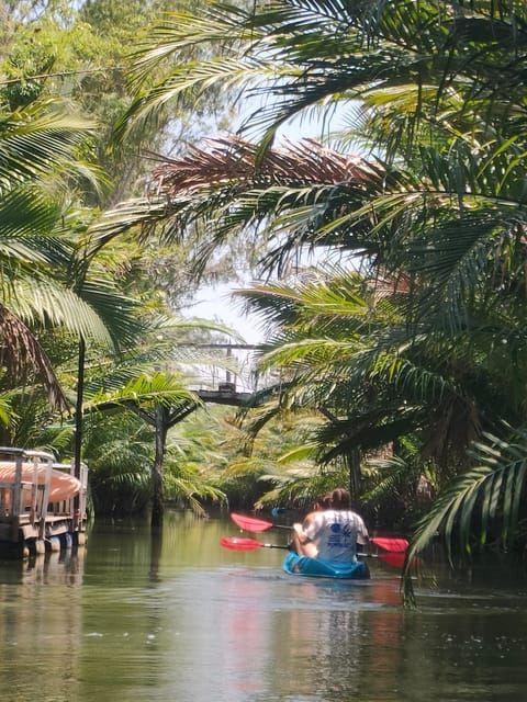 Kayaking tour around green cathedral