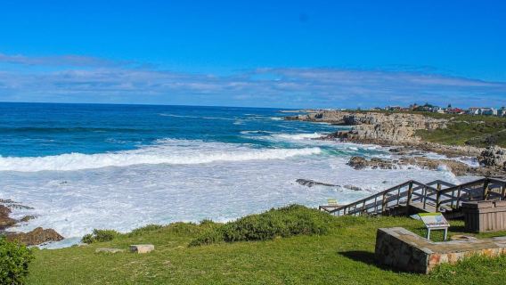 Cape Town: Hermanus Land Based Whale Watching Tour