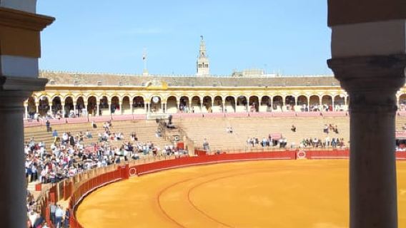 Sevilla: recorrido por la Plaza de Toros y el Barrio Santa Cruz