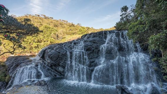 Ella to Horton Plains with Bakers Falls & Train Delights
