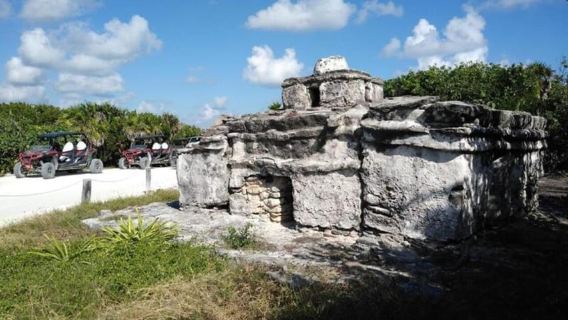 Cozumel: Tour clásico en Jeep o Buggy por la isla hasta Punta Sur