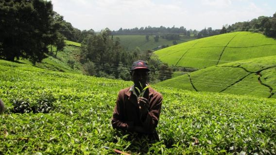 Nairobi
