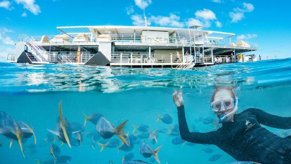 Great Barrier Reef: Pontoon Cruise + Semi-Submarine Tour + Buffet Lunch