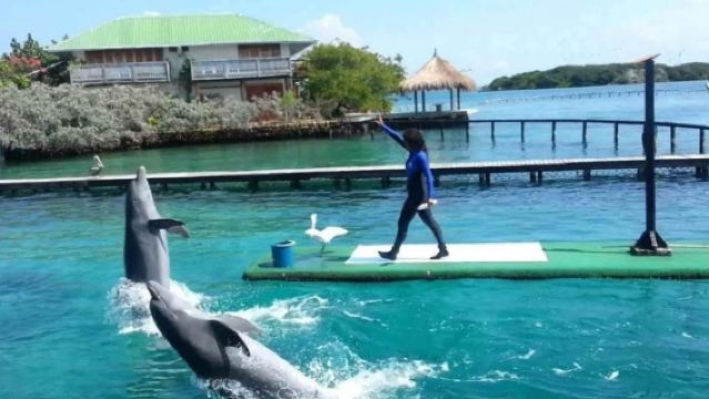 Día completo en las Islas del Rosario con almuerzo en Cartagena