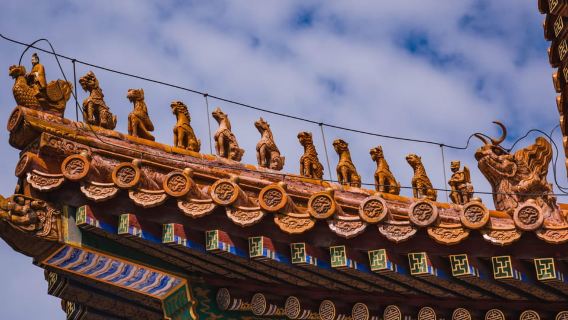 Pechino: visita guidata a piedi della Città Proibita con biglietti d'ingresso