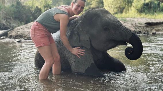 Chiang Mai: Chương trình cho voi ăn trong nửa ngày