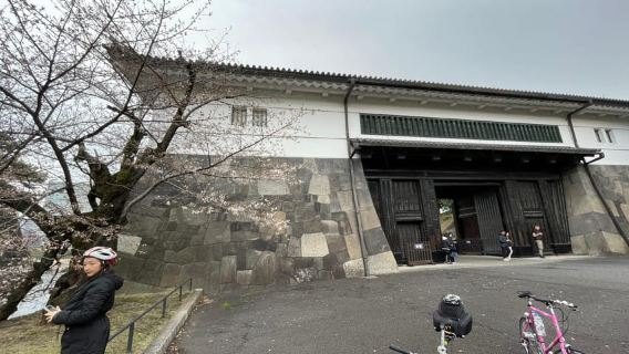 Tokyo: Temukan Tur Sepeda Sehari Penuh Tradisional Tokyo