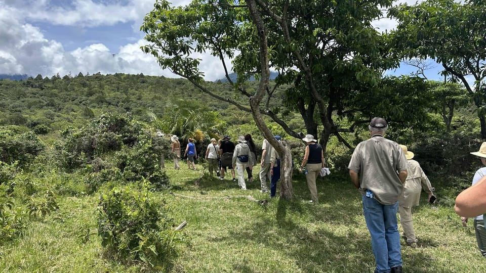 Arusha: tour guidato del Parco Nazionale con safari e pranzo