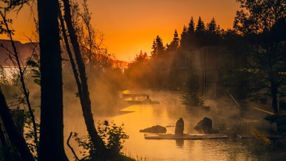 Porto di Akureyri: tour di Goðafoss e della laguna della foresta