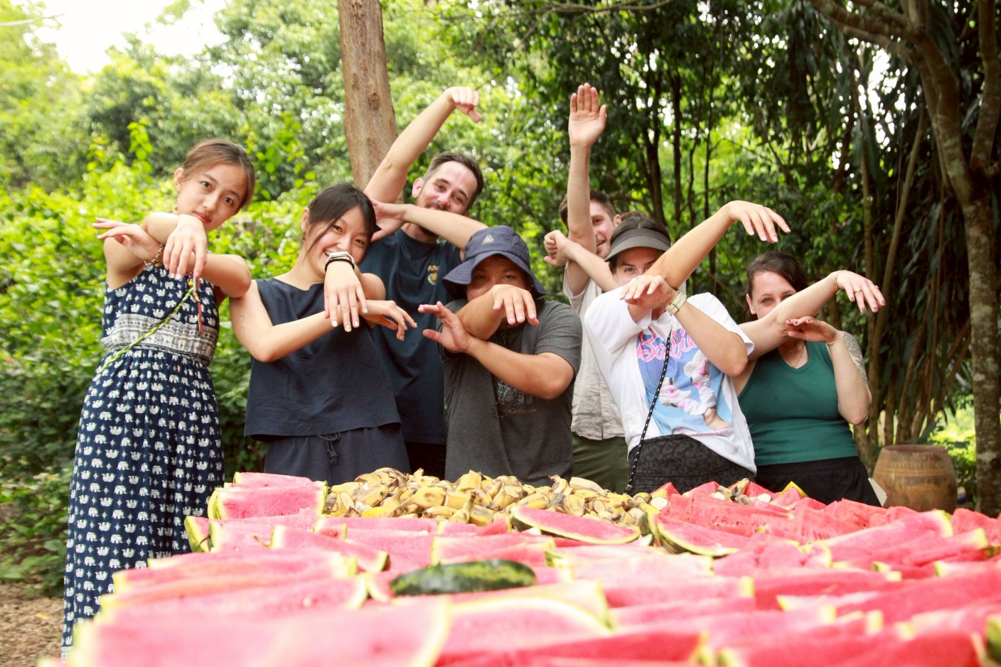 Visita di un'intera giornata allo SkyWalk con i progetti Hands Off: SkyWalk e Elephant Nature Park