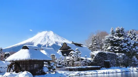 Hakone + Mt. Fuji Tagesausflug: Piratenschiff · Owakudani · Mt. Fuji 5th station