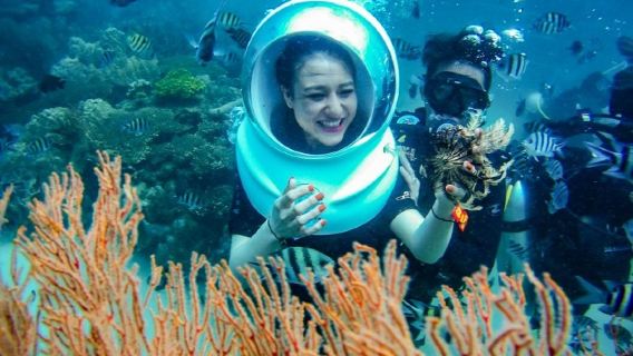 Esplorazione subacquea a Phu Quoc: Immersioni subacquee e Sea Walker sull'isola di Roi