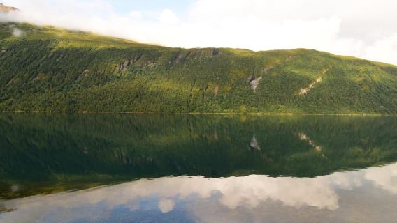 Abisko: tour panoramico e fotografico dei fiordi