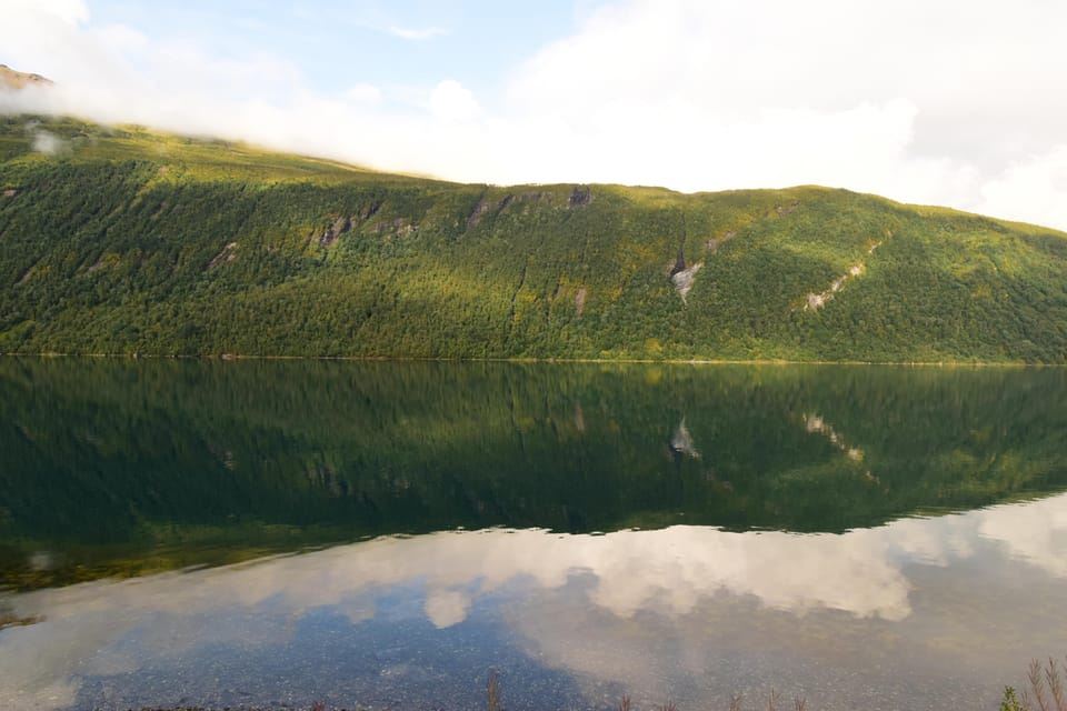 Abisko: Fjord Sightseeing and Photography Tour