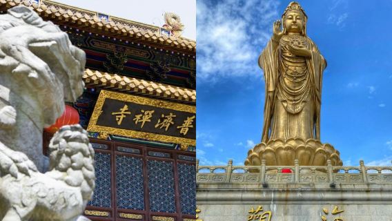 寧波至普陀山風景區一日遊純玩【最多9人小團】全程導遊陪同導覽