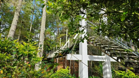 Tagesausflug zum Kinabalu in Kota Kinabalu, Malaysia