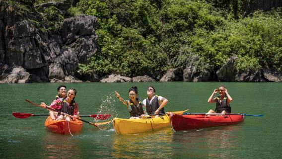 Từ Hà Nội: Khám phá Vịnh Hạ Long trên chuyến du ngoạn trong ngày TUYỆT VỜI NHẤT kèm chèo thuyền Kayak và ăn trưa