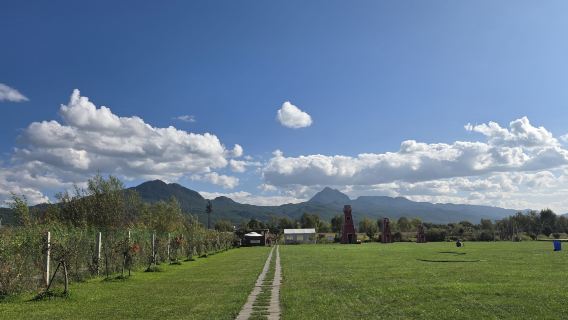 麗江拉市海濕地公園＋騎馬＋土雞火鍋＋划船＋天空之鏡一日遊