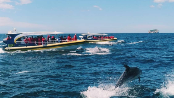 塔斯馬尼亞快艇3小時體驗+塔斯曼半島一日遊含早茶午餐