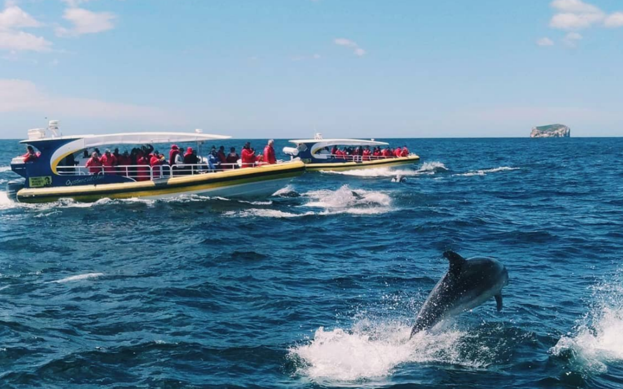 塔斯馬尼亞快艇3小時體驗+塔斯曼半島一日遊含早茶午餐