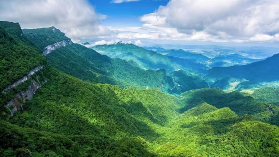 Montaña Jinfo de Chongqing: Explorando bosques antiguos y plantas raras