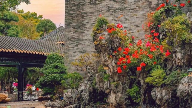 廣州番禺寶墨園+順德清暉園博物館+逢簡水鄉一日遊|私家小團上門接送