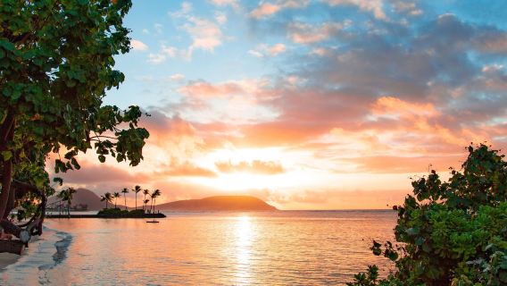 Hawaii: Lawatan Sehari Maksima Mengelilingi Pulau Oahu|pakej berkumpulan dalam Bahasa Inggeris