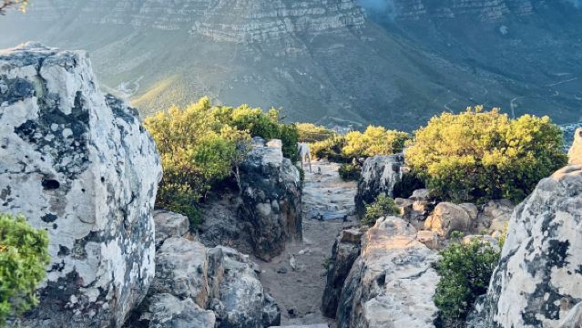 南非開普敦包車一日遊 徒步獅子山+海豹島+Clifton海灘