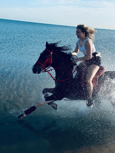 フルガダ：砂漠と海の乗馬ツアー（オプションで海水浴可） | Trip.com