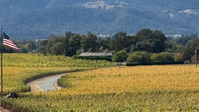 美國三藩市來回納帕谷 各種酒莊打卡-包車-精選