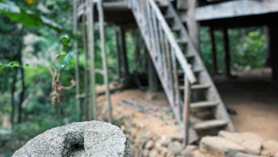 Tagesausflug mit Privattransfer zu Wanfenglin, Wanfengsee und dem alten Buyi-Dorf Nanlong in Qianxinan, Guizhou mit chinesisch-englischem Service