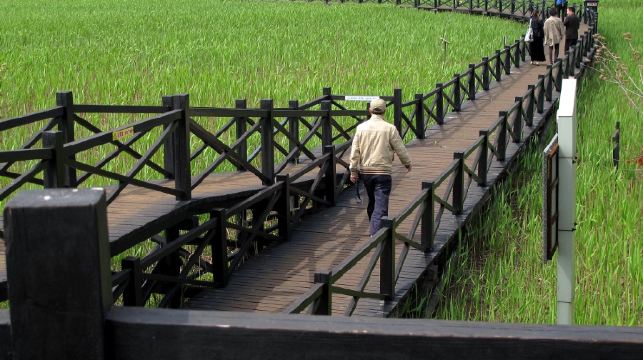 上海崇明島一日遊【獨立包團自然景點可選擇/品農家樂/民俗活動】