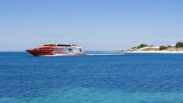 Excursión en bus turístico por Rottnest Island (incluye ferry de ida y vuelta con Rottnest Express)
