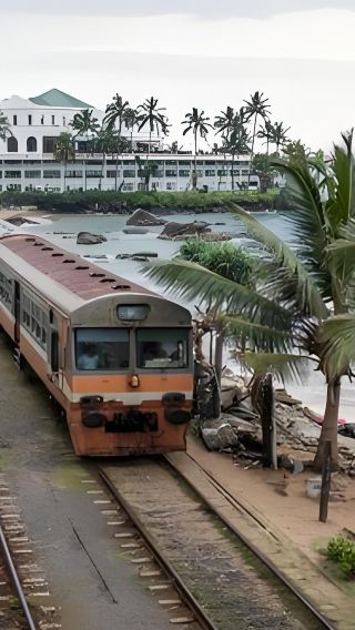 スリランカ海上列車+シー・タートル・ハッチャリー - ハバラダワ+マングローブ+国立博物館+モスク ワンデー