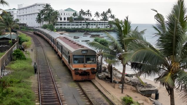 Treno sul mare dello Sri Lanka + Vivaio delle tartarughe marine + Escursione in barca nella foresta di mangrovie + Museo Nazionale + Moschea